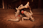 Kushti4.JPG