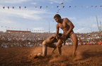 Kushti-Kusti- Wrestler locks onto a leg.JPG